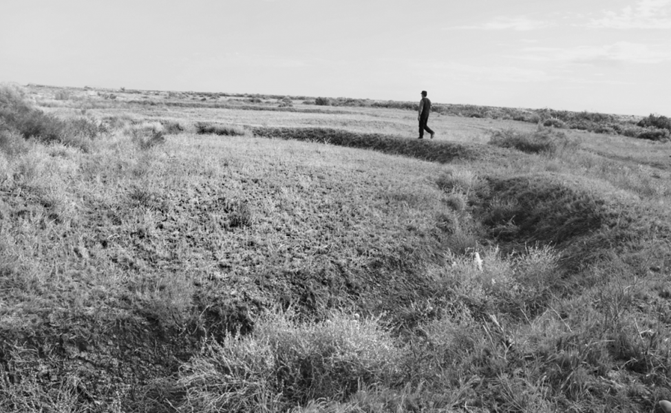 Загадочные рвы в Кызылординской области: как связаны голод 30-х годов и депортация корейцев