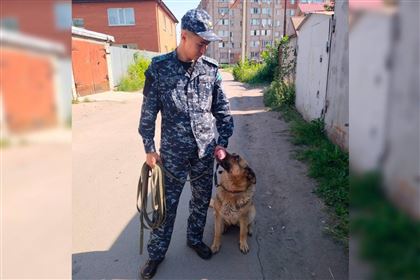 Какие преступления помогают раскрыть служебные собаки в Казахстане