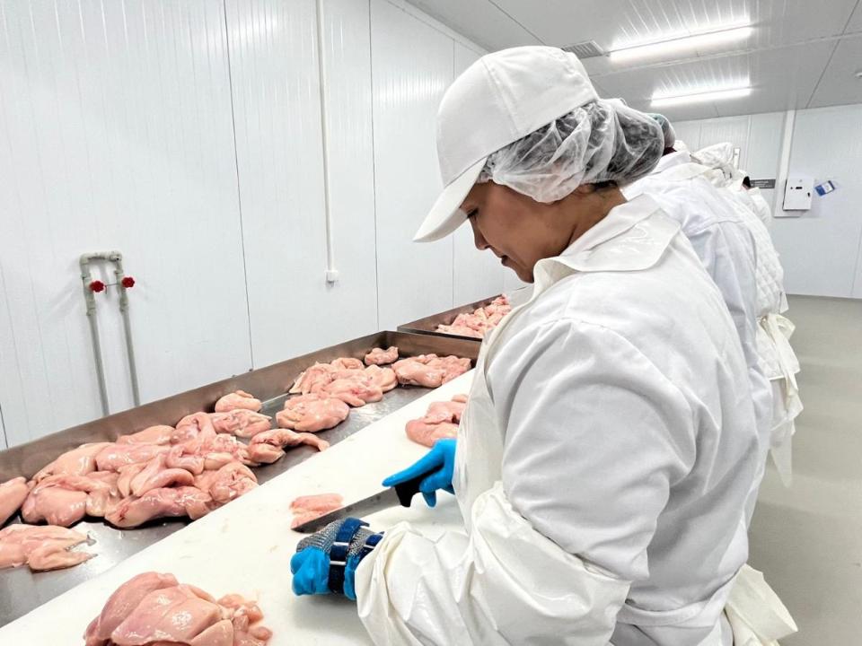 Куриные полуфабрикаты начали впервые производить в Казахстане Куриные полуфабрикаты начали впервые производить в Казахстане