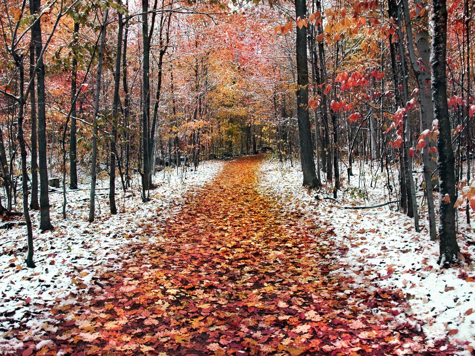 Какую погоду готовит ноябрь для казахстанцев 