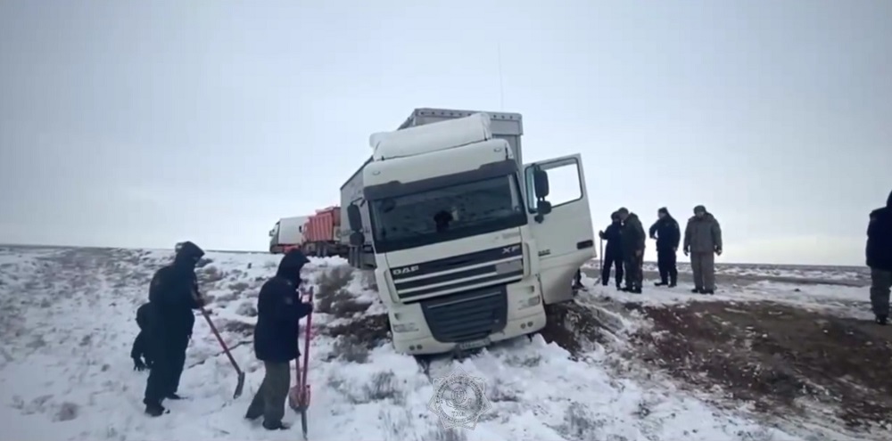 29 фур освободили спасатели МЧС в Мангистауской области 29 фур освободили спасатели МЧС в Мангистауской области