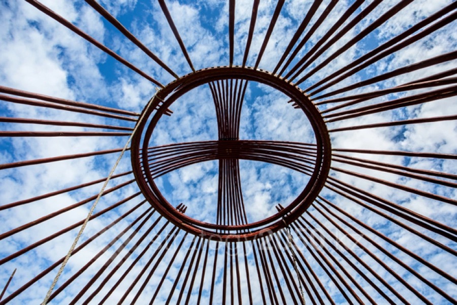 Волосатые письки порно фото