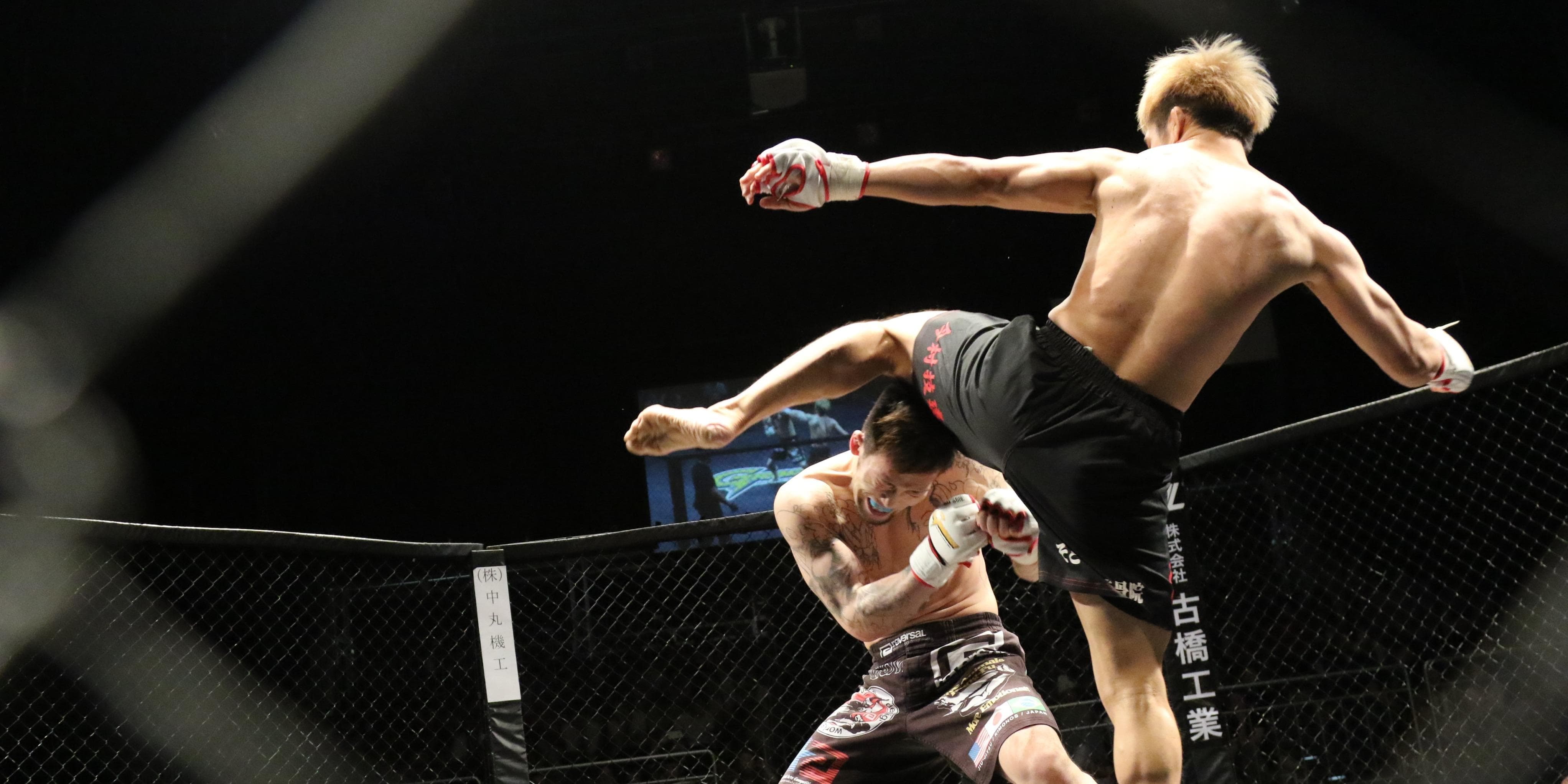 UFC против PFL в 2026 году: деньги, звёзды и форматы — в чём реальная разница