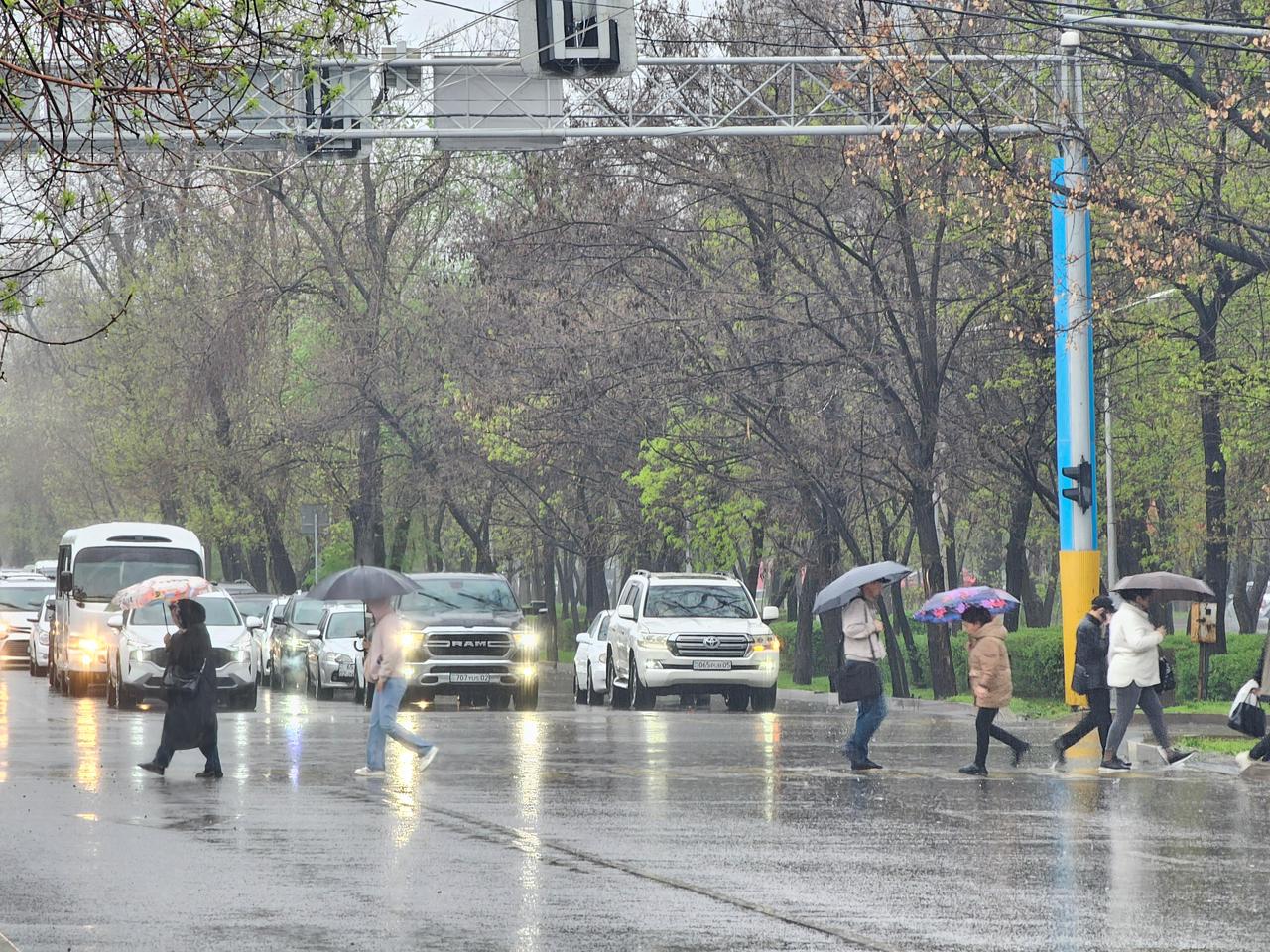 Дождь с сильным ветром прогнозируется в Алматы 