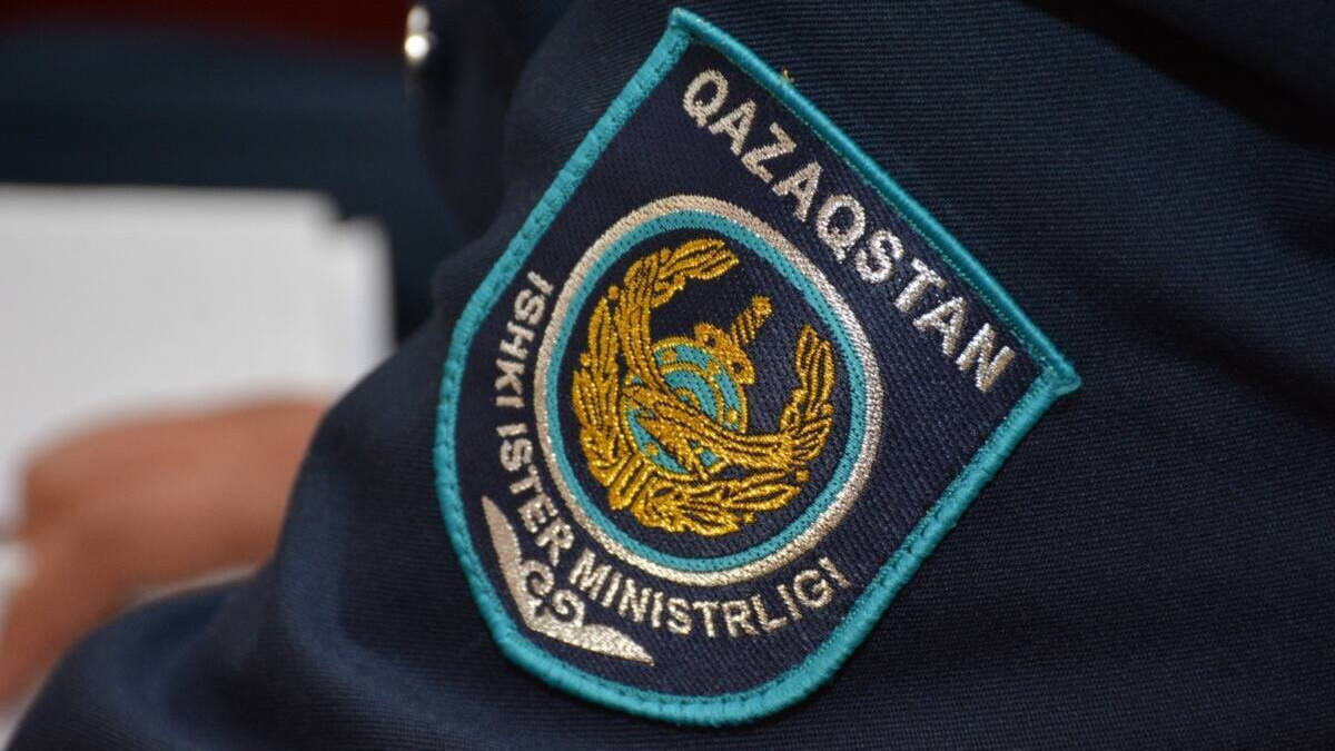 Девушку, сыпавшую комплиментами в адрес Гитлера, задержали в Алматы Девушку, сыпавшую комплиментами в адрес Гитлера, задержали в Алматы
