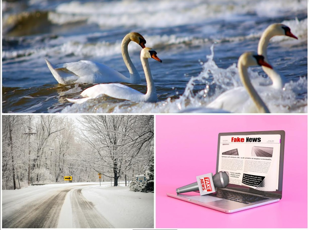 Главное на 8 января 