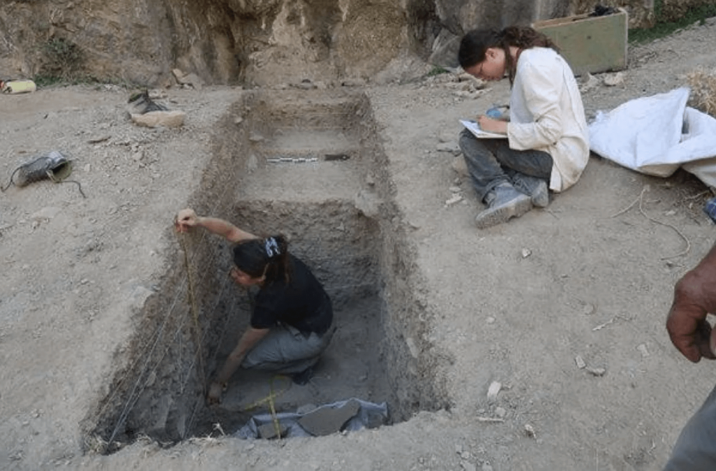Снимок экрана 2024-11-09 в 20.28.54.png