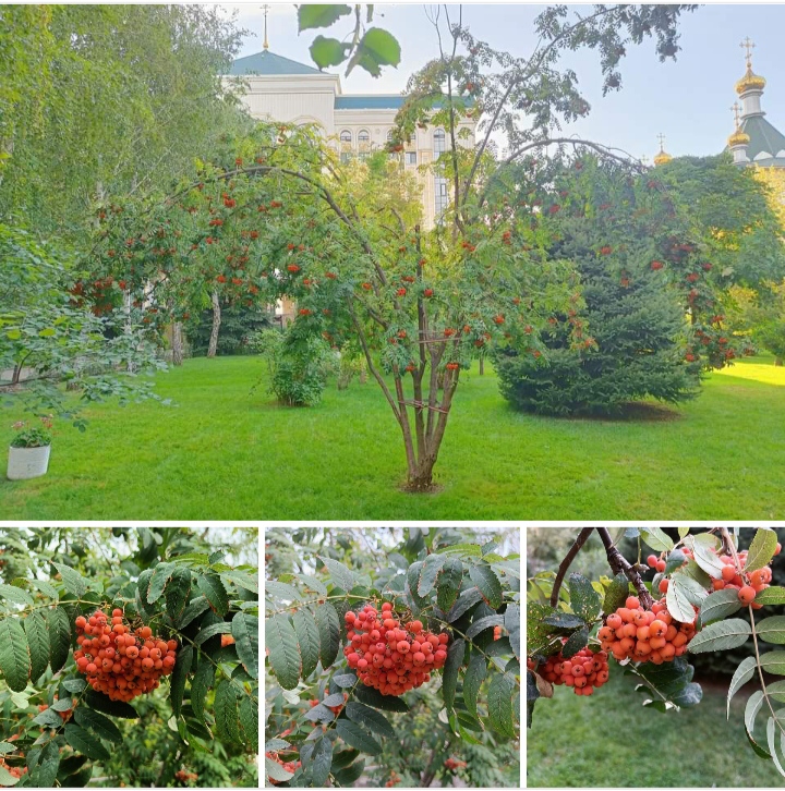 Фото Дмитрия Клепикова.jpg IMG_20240923_173514.jpg