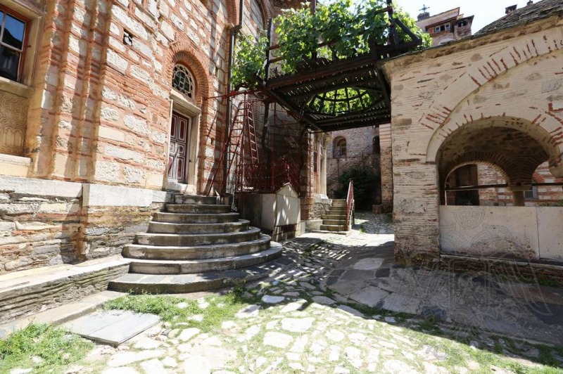 Лоза святого Симеона: плоды, дарующие избавление от бездетности 