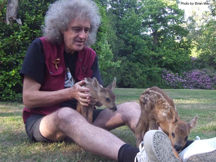 Фото 5. Brian-May-with-animals_Пинтерест.jpg