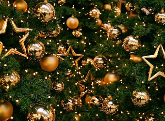 В Алматы зажгут главную новогоднюю елку города 