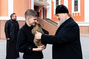 Почему кошкам можно заходить в храм и мечеть?