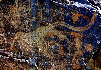 Откуда взялся «тореадор в Тамгалы»? 