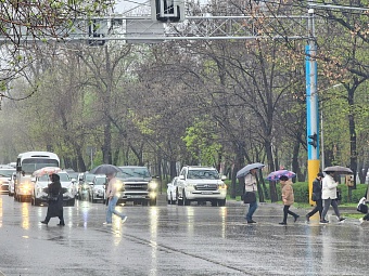 Дождь с сильным ветром прогнозируется в Алматы 