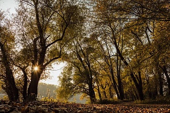 Какой будет погода в Казахстане в сентябре, сообщили синоптики 